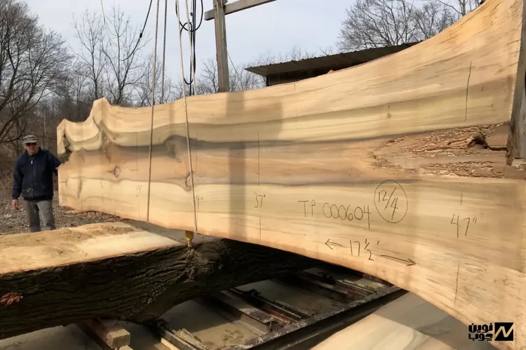 کاربرد چوب صنوبر