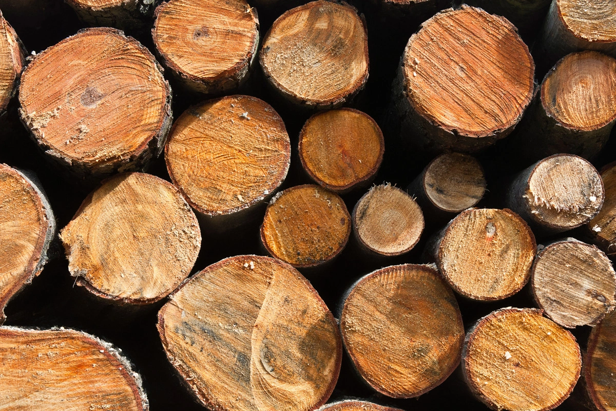 انواع چوب و کاربردهای هریک