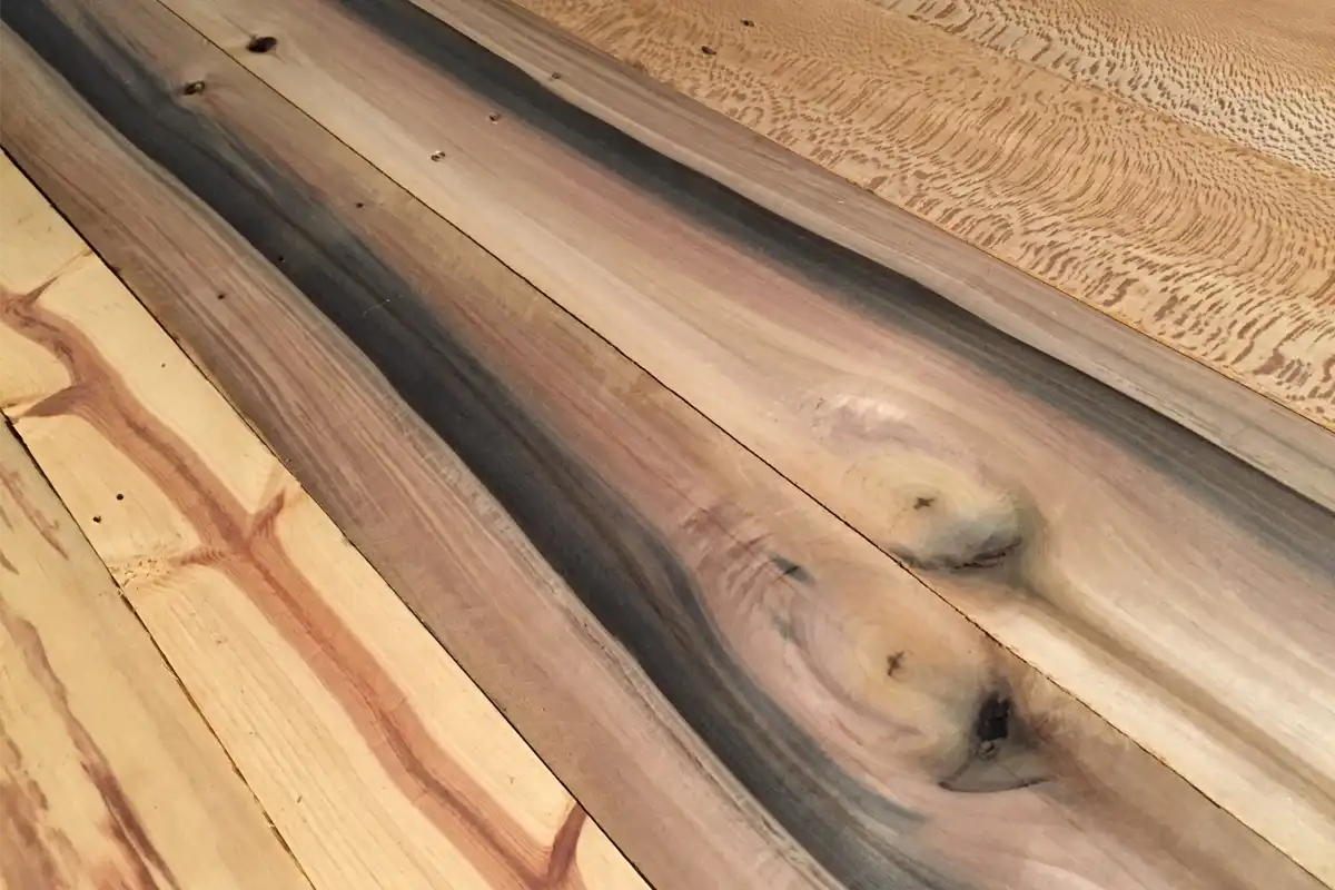 نکات مهم درباره چوب صنوبر و نحوه پرداخت آن به صورت حرفه ای